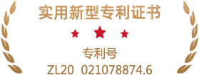 专利号ZL20 021078874.6.png